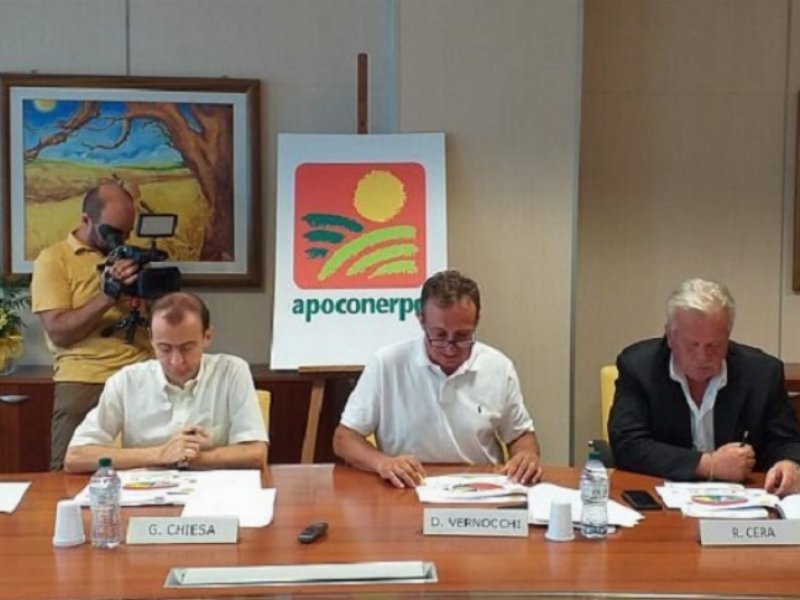 Apo Conerpo chiude il 2018 con un fatturato di 717 mln Apo Conerpo chiude il 2018 con un fatturato di 717 mln