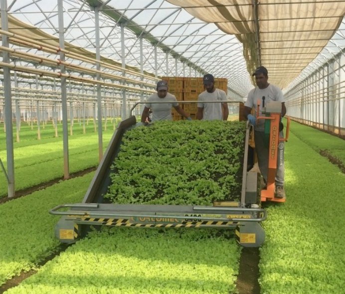Bonduelle Italia apre le porte dello stabilimento di San Paolo d’Argon (BG)