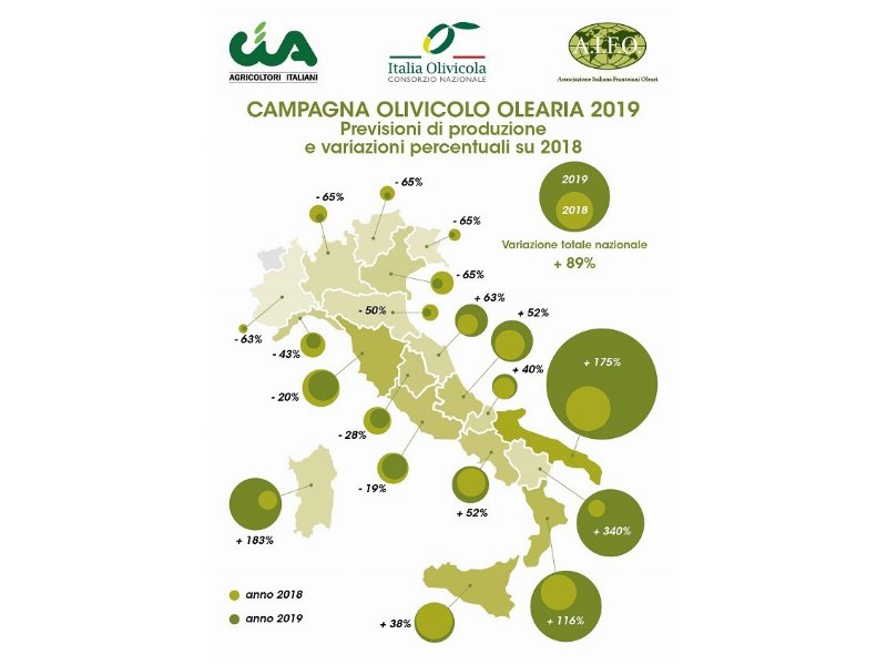 Campagna olearia 2019/2020: produzione olio evo a +89%