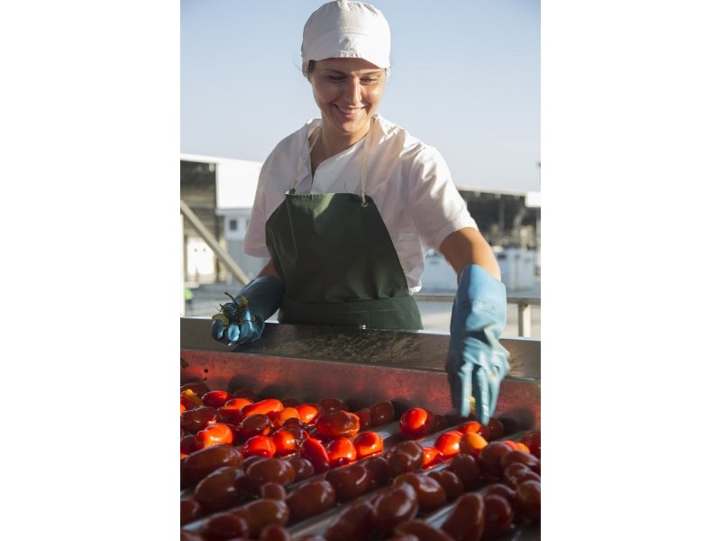 Coldiretti e Princes insieme per la sostenibilità del pomodoro italiano