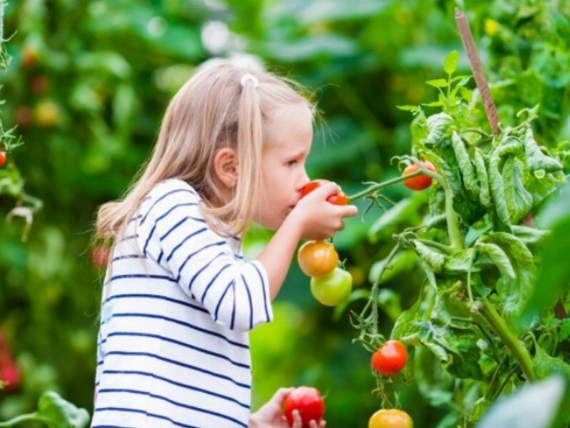 Eit food: mostrare immagini di verdure ai bambini può favorirne il consumo