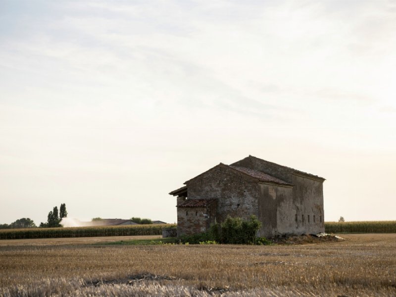 dr-schar-cereali-alternativi-per-uno-sguardo-al-futuro