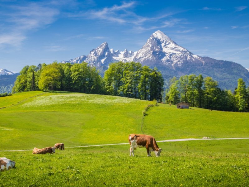 la-carne-bavarese-una-certezza-per-i-consumatori-1