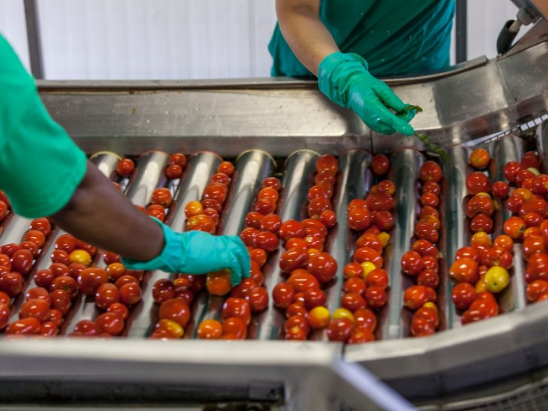 lampomodoro-de-le-conserve-della-nonna-la-passata-di-pomodoro-buona-come-quella-fatta-in-casa