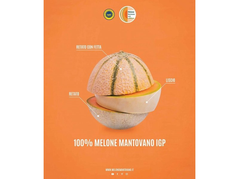 Il Melone Mantovano Igp cresce del +20% nel 2018