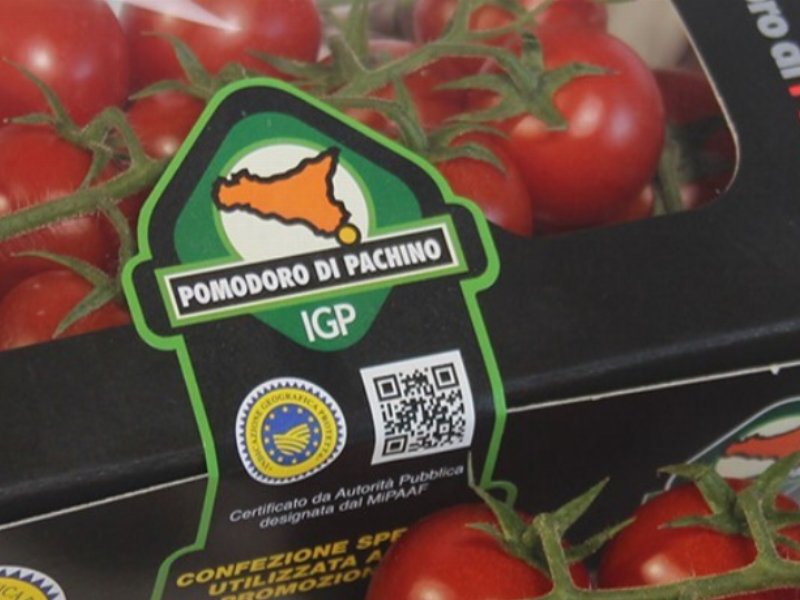 Il pomodoro di Pachino IGP più sostenibile con il nuovo packaging biodegradabile