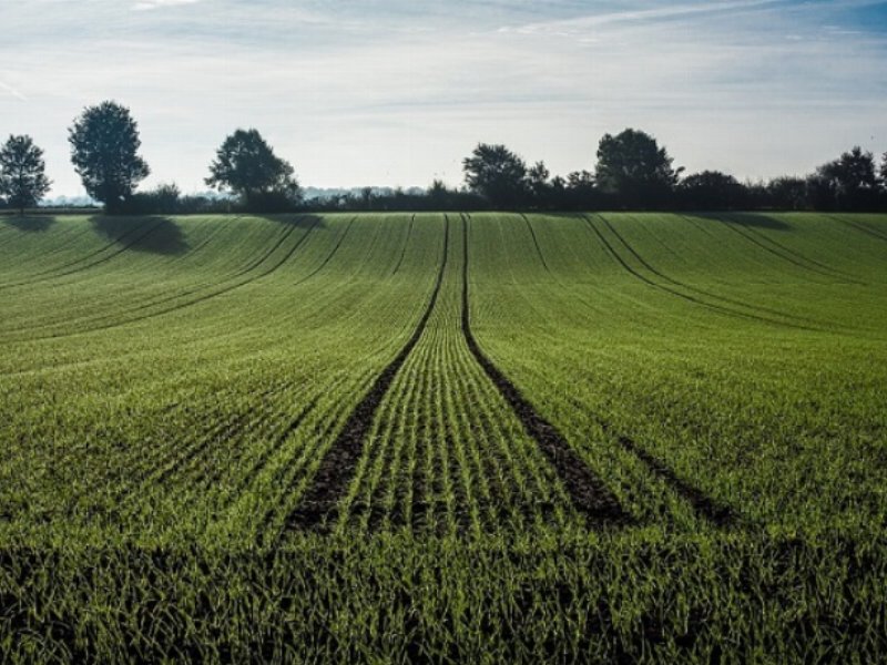 La Campania dà il via ai distretti agroalimentari di qualità e ai distretti rurali