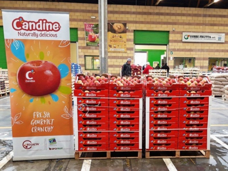 La mela Candine arriva sui mercati ortofrutticoli