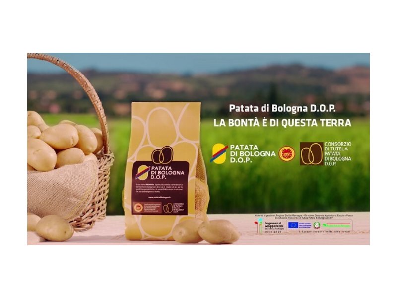 La Patata di Bologna Dop torna in tv