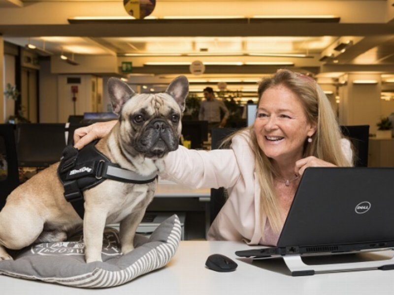 Mars Italia sostiene un ufficio pet-friendly