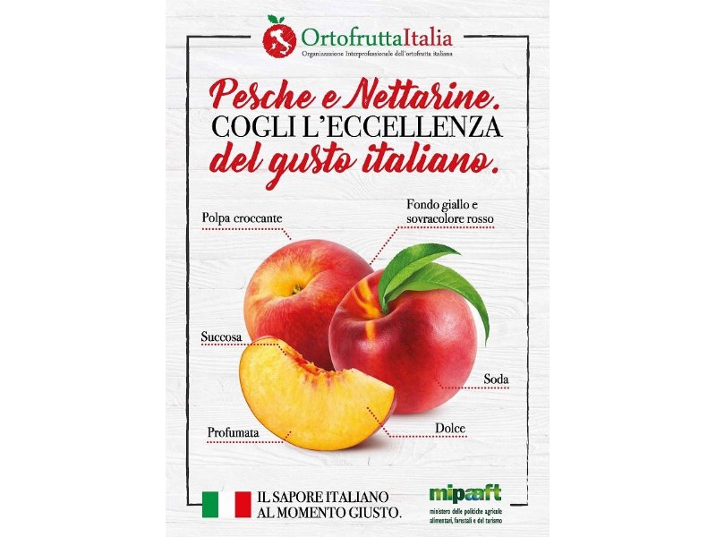 Ortofrutta Italia promuove le pesche e le nettarine