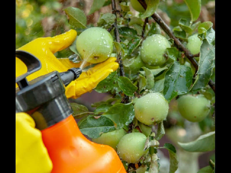 Pesticidi nel piatto: il vero problema è il multiresiduo