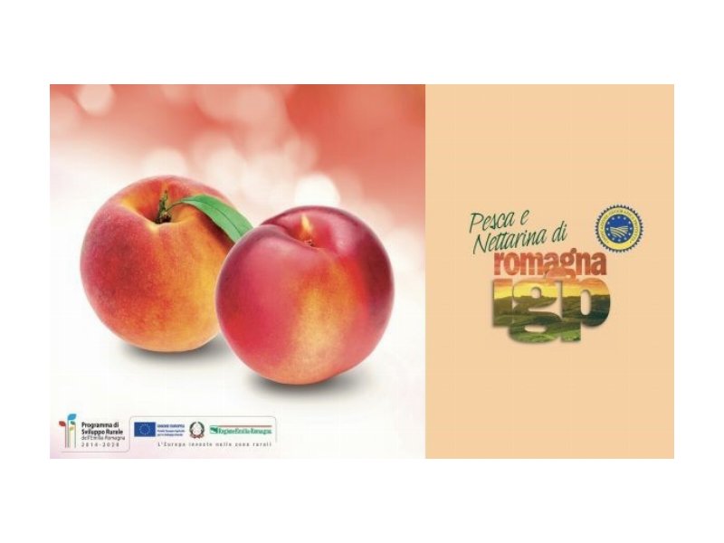 Tornano le pesche e nettarine di Romagna IGP