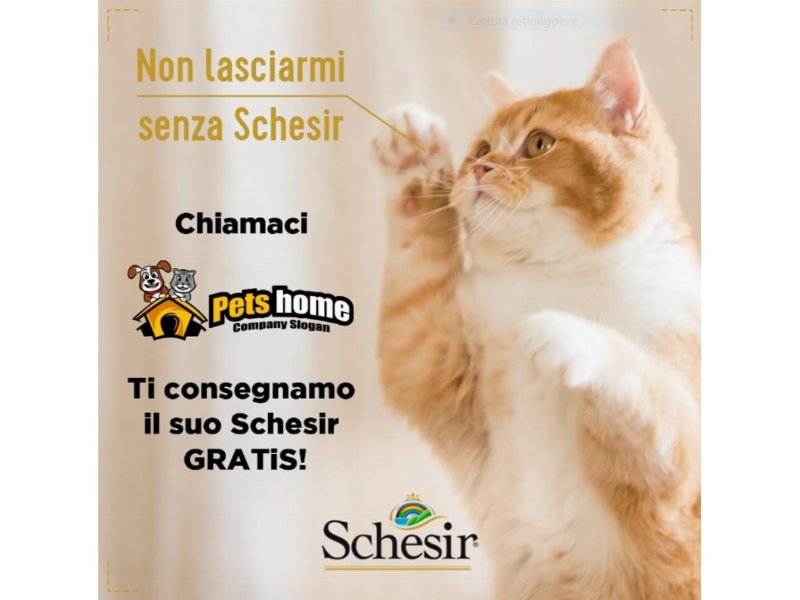 Agras petfoods  al fianco dei petshop durante l’emergenza COVID-19