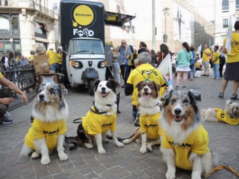 Arcaplanet: donate nel 2019 oltre 194 tonnellate di cibo per pet in difficoltà