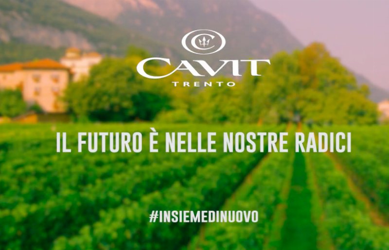 Cavit al fianco dei consumatori con un nuovo spot