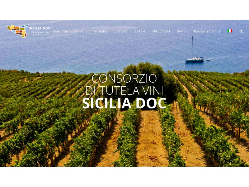 Consorzio di tutela vini doc Sicilia: eletto il nuovo Consiglio di amministrazione