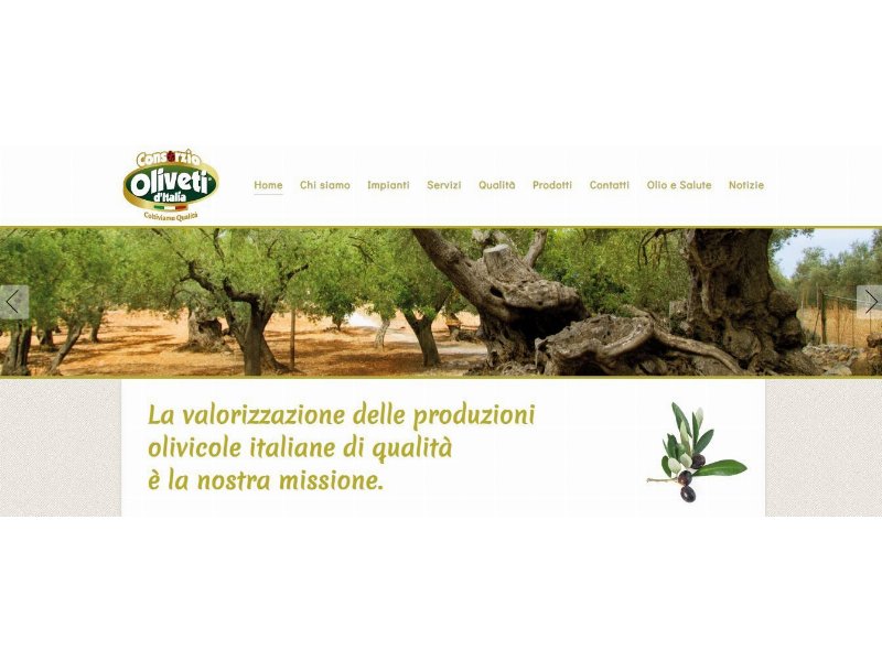 Consorzio oliveti d’Italia: boom della cultivar Favolosa