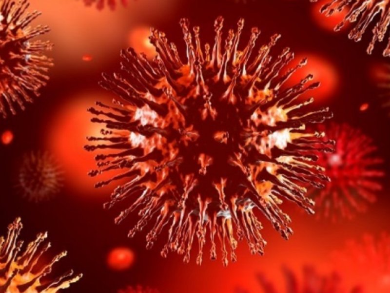 Coronavirus, l’Autorità avvia istruttoria nei confronti di Amazon e Ebay