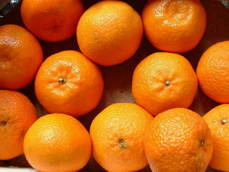 Crisi Clementine: Coop interviene a sostegno dei produttori agricoli calabresi