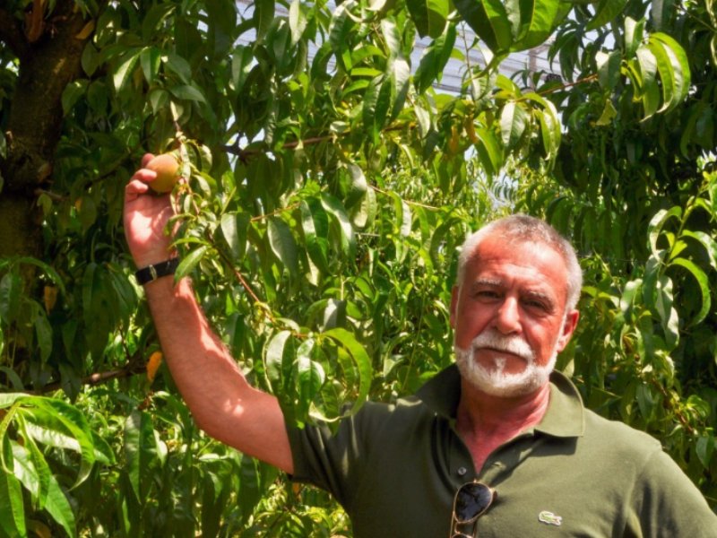 CSO Italy: parte la campagna delle pesche e nettarine di Romagna Igp