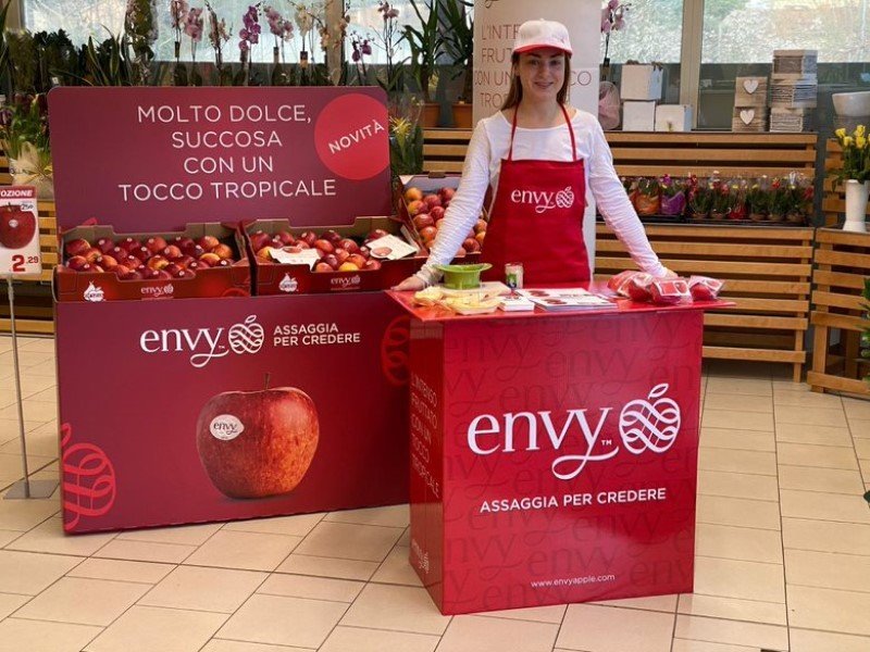 Mela envy, successo in termini di vendite e di apprezzamento da parte dei consumatori