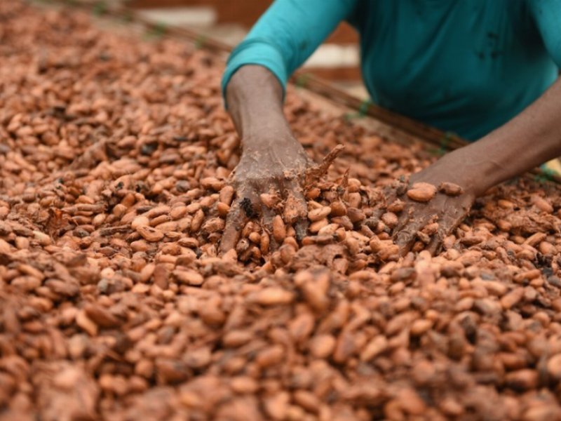 Fairtrade: dal 1° ottobre tornano le settimane del commercio equo