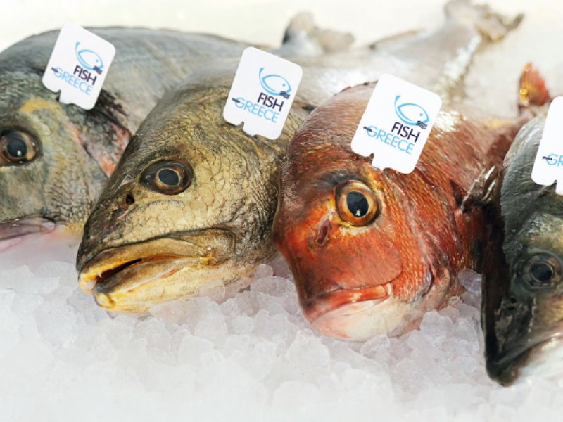 Fish From Greece, il marchio simbolo di alta qualità del pesce greco proveniente dalle aziende associate ad HAPO