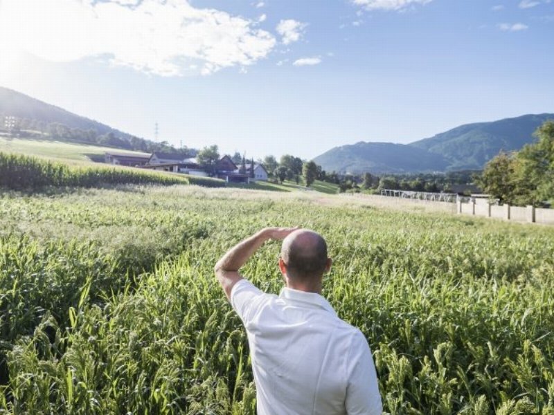 con-schar-bio-dr-schar-debutta-nel-mercato-del-biologico