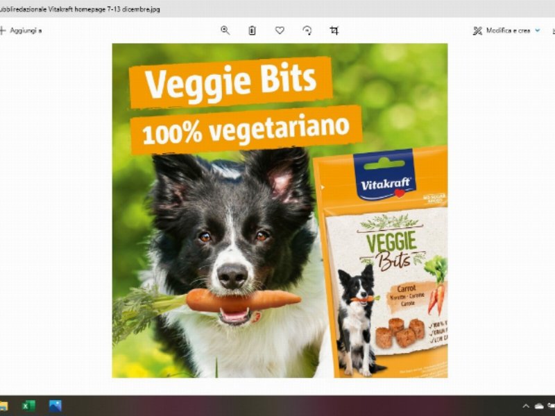 da-vitakraft-due-novita-per-cani-snack-vegetariani-e-con-insetti