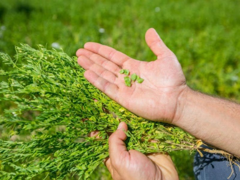 gli-ingredienti-del-successo-di-andriani-qualita-innovazione-e-sostenibilita