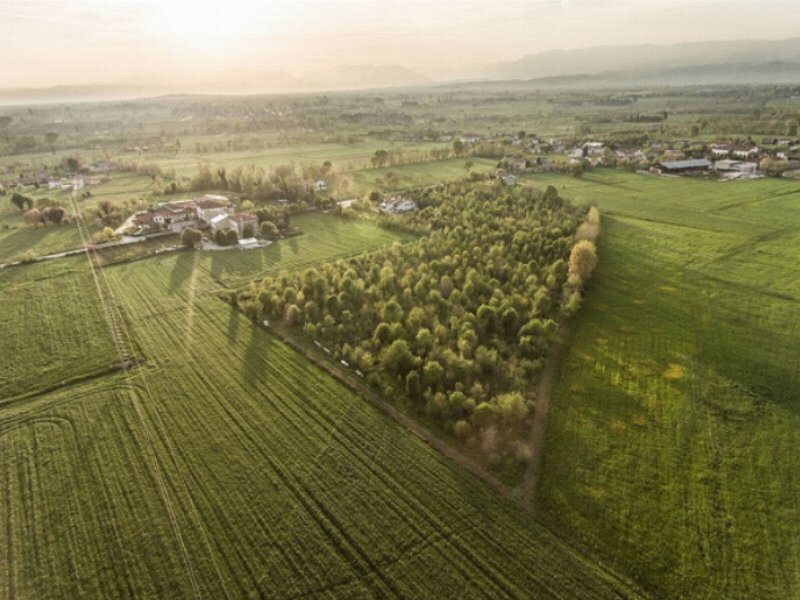 sgambaro-la-sua-pasta-sara-climate-positive-entro-il-2030