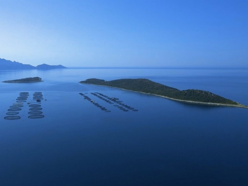 HAPO – Hellenic Aquaculture Producers Organization – porta sulle nostre tavole tutto il sapore e la qualità del pesce fresco greco, “firmato” Fish From Greece