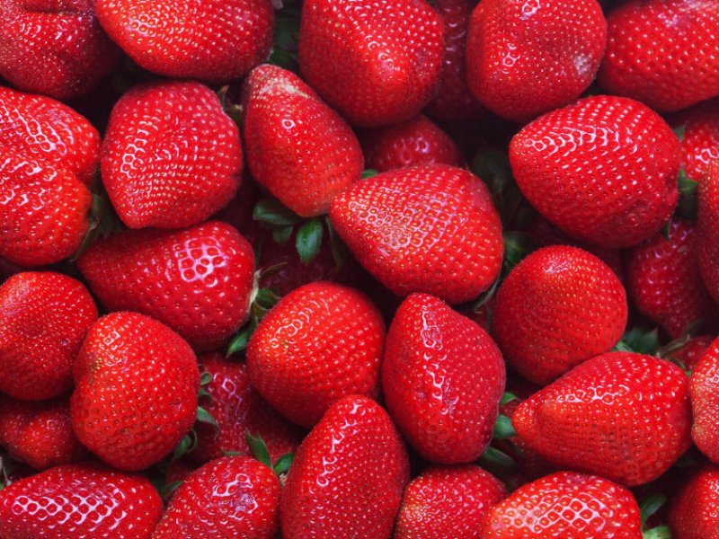 International Strawberry Symposium rimandato al 2021