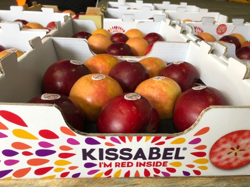 Kissabel, l’emisfero Sud prosegue con lo sviluppo commerciale