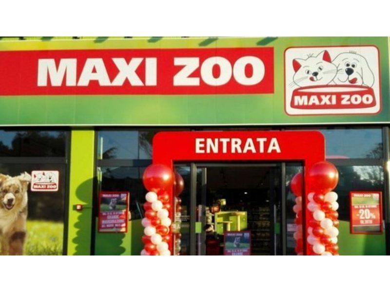 Maxi Zoo e Balzoo al fianco delle persone e dei loro amici a 4 zampe