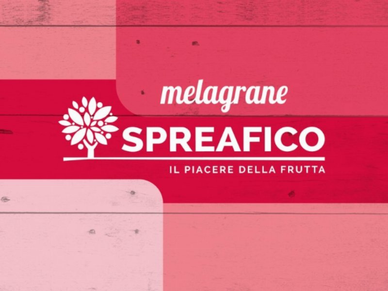 Spreafico: un percorso dedicato per la melagrana