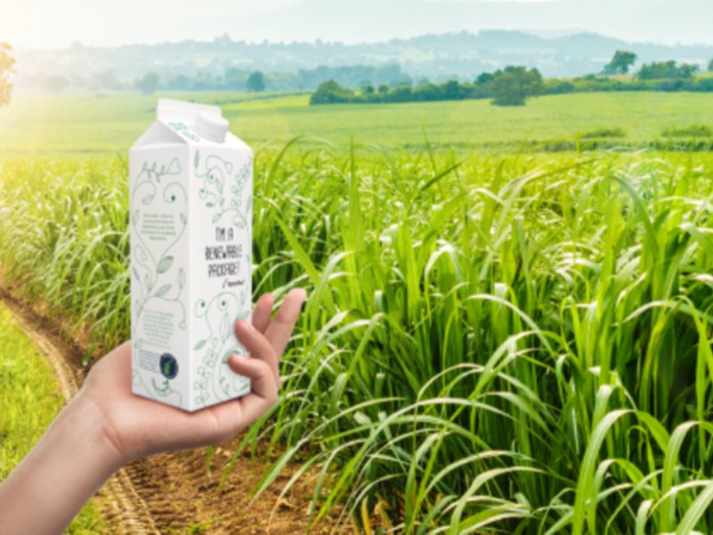 Tetra Pak ottiene la doppia "A" di Cdp per l’impegno contro il cambiamento climatico