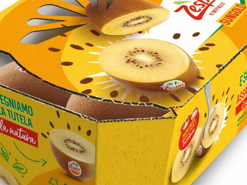 Zespri: anche per l’Italia in fase di test un nuovo pack completamente sostenibile