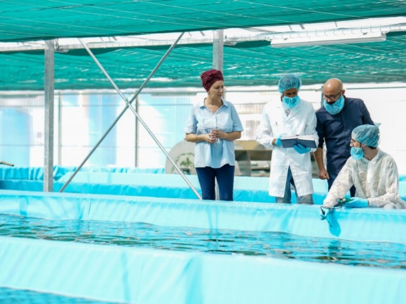 Andriani e Apuliakundi: sì alla produzione di alga spirulina