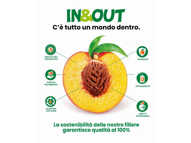 Apo Conerpo: con il progetto In&Out l’ortofrutta europea diventa protagonista