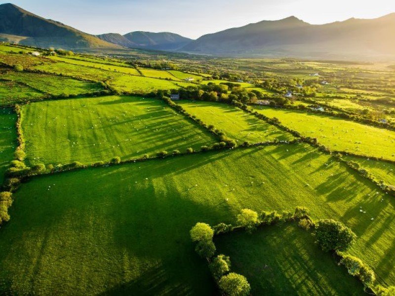 Bord Bia: la carne irlandese sbarca a Latina