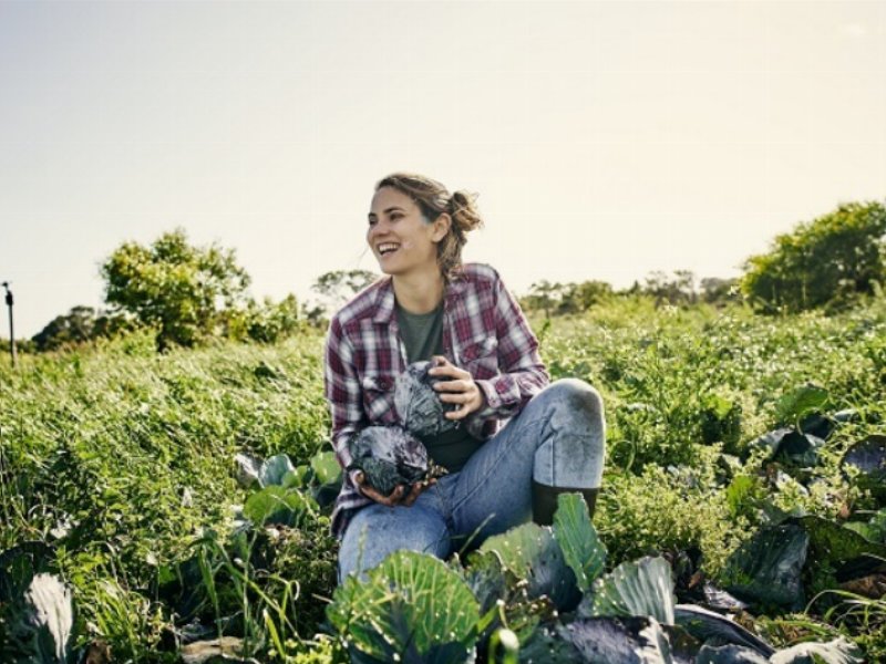 Carrefour Italia: in arrivo nuove referenze "Terre d’Italia” con label Fdai