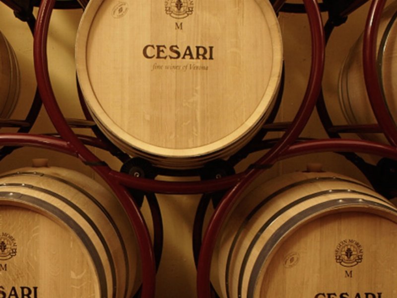 Caviro investe 20 milioni nella nuova cantina di Gerardo Cesari, in Valpolicella classica