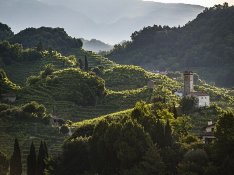 Conegliano Valdobbiadene: nel 2021 tagliato il traguardo dei 100 milioni di bottiglie