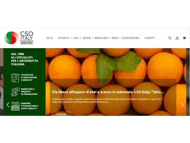 Cso Italy: via libera all’export di kiwi e arance in Indonesia