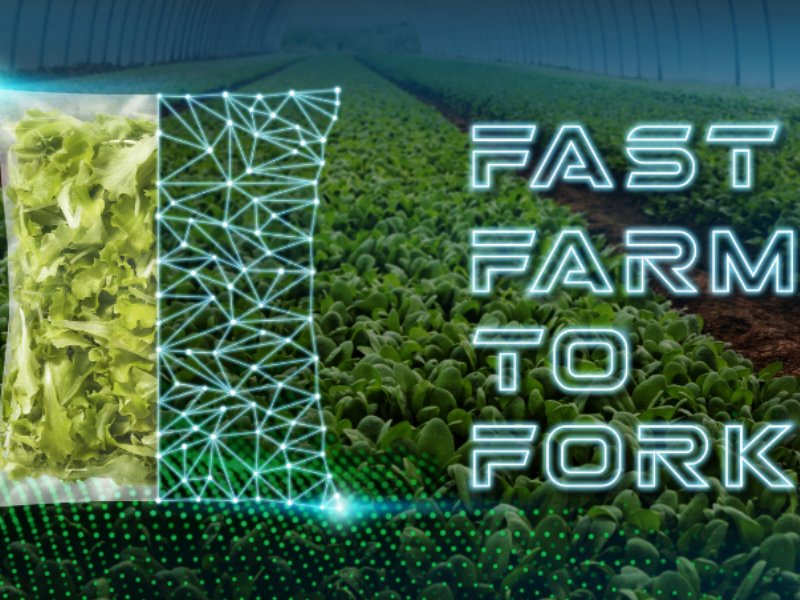 “Fast farm to fork”, tra industria 4.0 e buona agricoltura: La Linea Verde investe 25 milioni di euro in un piano triennale tecnologico