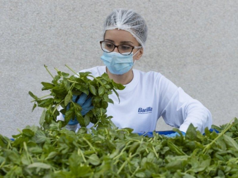 barilla-investe-ancora-30-milioni-sul-sughificio-di-rubbiano