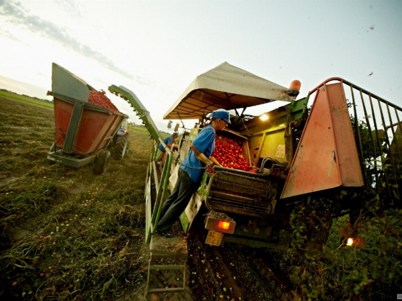 come-natura-crea-conserve-italia-esporta