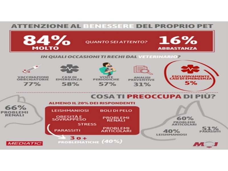 gli-animali-migliorano-la-nostra-vita-lo-dice-il-93-per-cento-degli-italiani